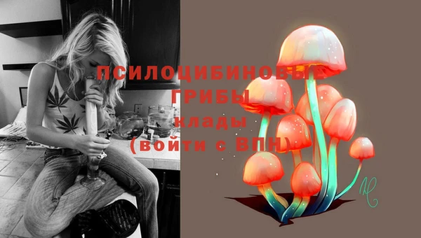 марки lsd Новозыбков