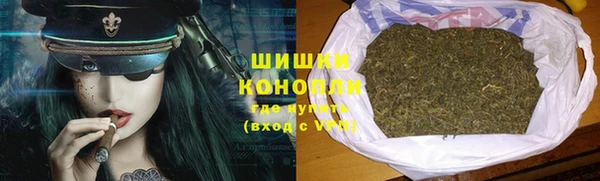 трава Новодвинск