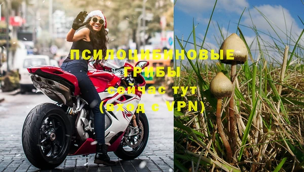 трава Новодвинск