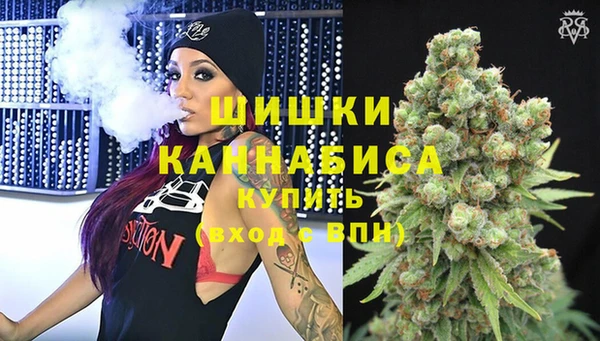 марки lsd Новозыбков