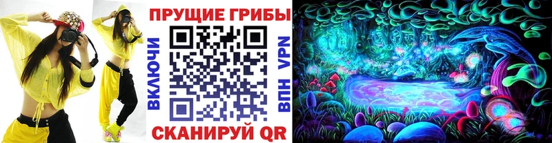 Псилоцибиновые грибы GOLDEN TEACHER Сковородино