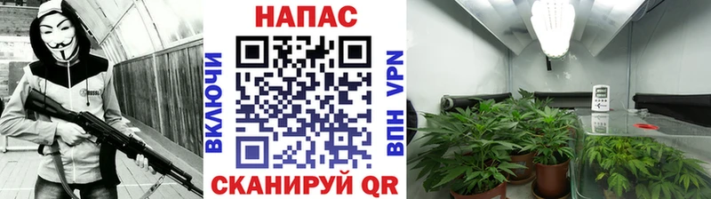 kraken ССЫЛКА Сковородино МАРИХУАНА LSD WEED купить наркоту